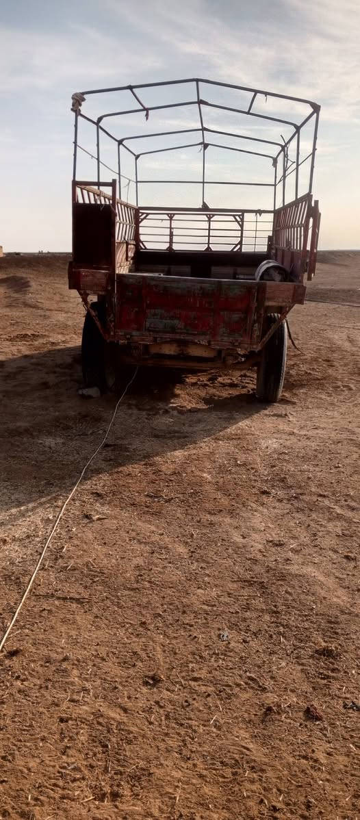 عربانه للبيع 
وواتساب واتصال ***********
مكانها ببعاج مجمع الجغيفي 
مو شراي لاتتعبن ولا اتعبك
