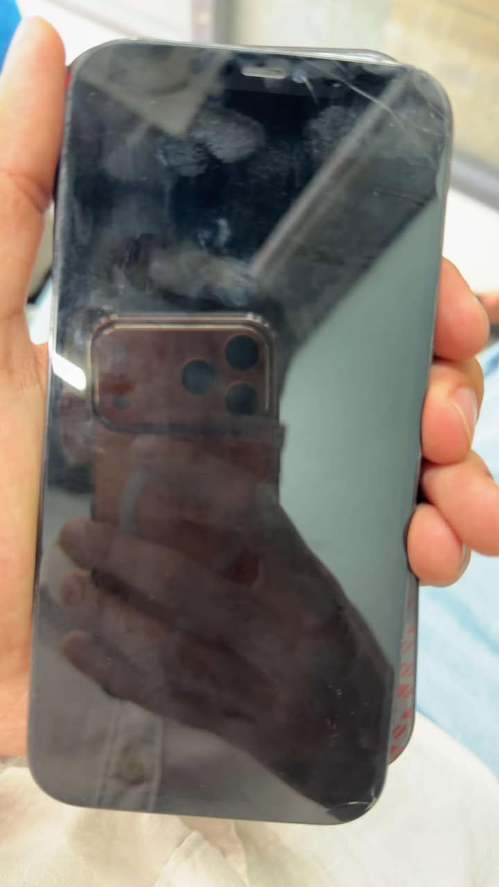 12 برو ماكس
256كيكا
تك سيم
بطاريه و شاشه مبدل 
 البيع سعر ٣٠٠وبي مجال شي قليل للتواصل واتساب***********
