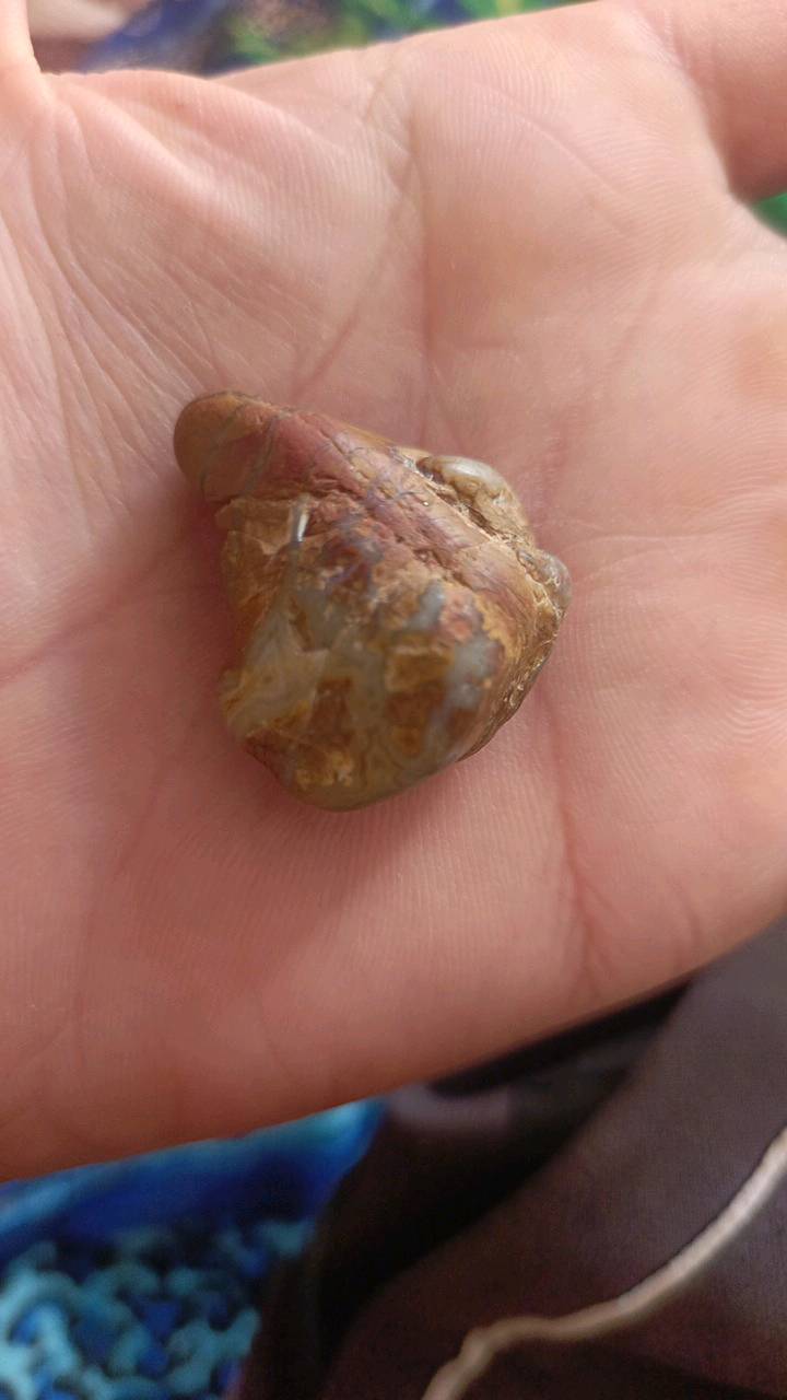 السماوه الرميثه حجر ما اعرفه شنو 