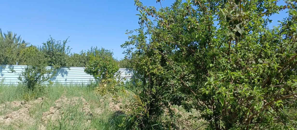 بستان صغيره 500متر طابو زراعي سند 25 تتوفر فيها جميع الخدمات ماء اساله وماء سقي وكهرباء ومسيج بالكامل الواجهه 21 متر والنزال 24 متر الموقع بغداد الراشديه نهاية منطقه العاصفه السعر جدا مناسب 37 مليون وقابله للتفاوض للاستفسار الاتصال على الرقم *********** مكتب العبيدي للعقار
