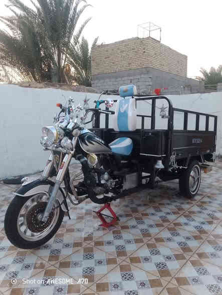 سلام عليكم شباب ستوته ام تي ار للبيع اوراق اصلي وكيل سما بغداد موديل 22دراجه نظيفه كامله مانقصه شي سعر 2500او بيه مجال مكاني ديوانيه قظأ شاميه ***********
