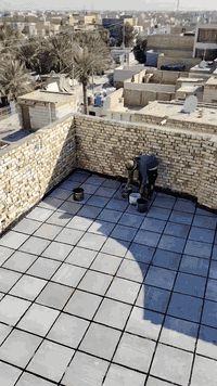 ***********
واتساب  ***********
