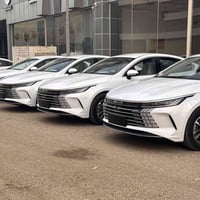 دستروير • ابيض • ٢٠٢٥