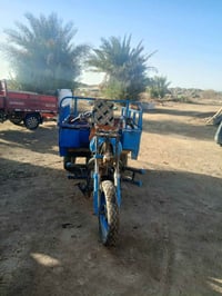 ستوته • بدون أوراق • شغّال