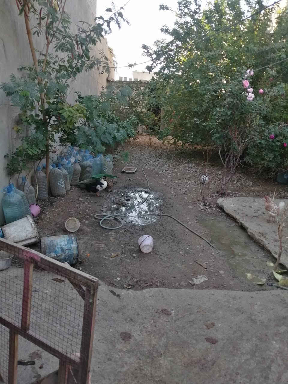 دار للبيع  مع قطعة أرض فيلق خلف المركز الصحي فرع ثانوية عفرين للبنات مساحة الدار ١٣٠م فول سيراميك طابق ونص والقطعه مساحتها ١٧٠م مسيجة للاستفسار ***********
