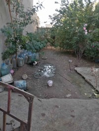 فيلق • دار ١٣٠م • قطعة ١٧٠م