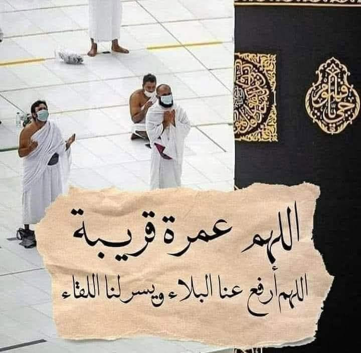 سلام عليكم في مدنتي  خانقين الحبيبه وفي كل مناطق نبدأ باستلام جوازات حمله شهر محرم الحرام ويعلن  بدء الان في استلام جوازات  عمرة شهر محرم الحرام  ونعيد ونكرر وقبل ماتسلم الجواز يجب ان تعلم بان هذا الفنادق التي نعلن عنها قريبه جدآ 
  ونعلن لكم الاسعار والفنادق كالتالي الجو (الطائرة)
1_فندق زوار البيت قريب جدا جدا على الحرم والسعر 1050دولار شامل كامل مع الطعام بوفيه ثلاث وجبات  
  اما عن طريق البر (الباص)فهي كالتالي
 1_فندق زوار البيت 650دولار مع الطعام بوفيه ثلاث وجبات 
2_ فندق واحه الضيافة 530دولار  مع الإطعام وجبتين 
و بالباصات الحديثة ومريحة والسفر يكون تقريبا يوم السبت20\6\2026وبالنسبة للجو يستلم مبلغ 30ورقه على السعر الرسمي 132الف لكل ورقه يعني ينزل من كل برنامج 300دولار تقربيا و لمن يرغب ان يكون معنا في هذا الحمله تسليم الجواز من الان وبأسرع وقت  خانقين /أو الاتصال ع رقمي خادمكم
 محمد نور ***********
