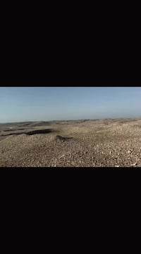 نامي توبرو • معدل فول • اوراق گاملة