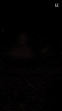 بايسكل للبيع السعر 80 وبي مجال المكان بغداد الامين الثانيه الرقم واتسا...