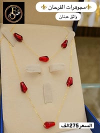 سيتات • نازكة • أسعار مناسبة