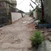 عرصه طابو زراعي • الكوفة علوة الفحل • ١٠٠م