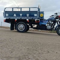 ستوته دايون • المسيب • اوراق