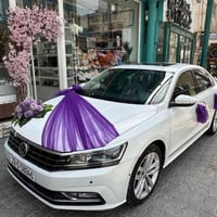 فولكس فاجن • باسات • مكلف