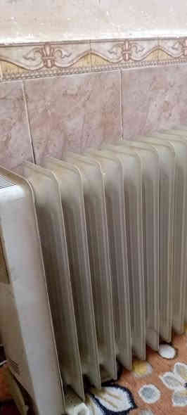 صوبه زيتيه حجم كبير على لفحص لسعر 25ديوانيه حي لعسكري *********** ديوانية
