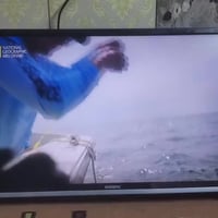 بلازما • ٣٢ بوصة • بدون نت