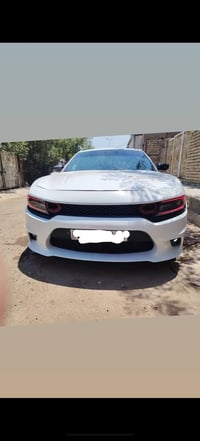 دعاميات • دوسات • نضيفات