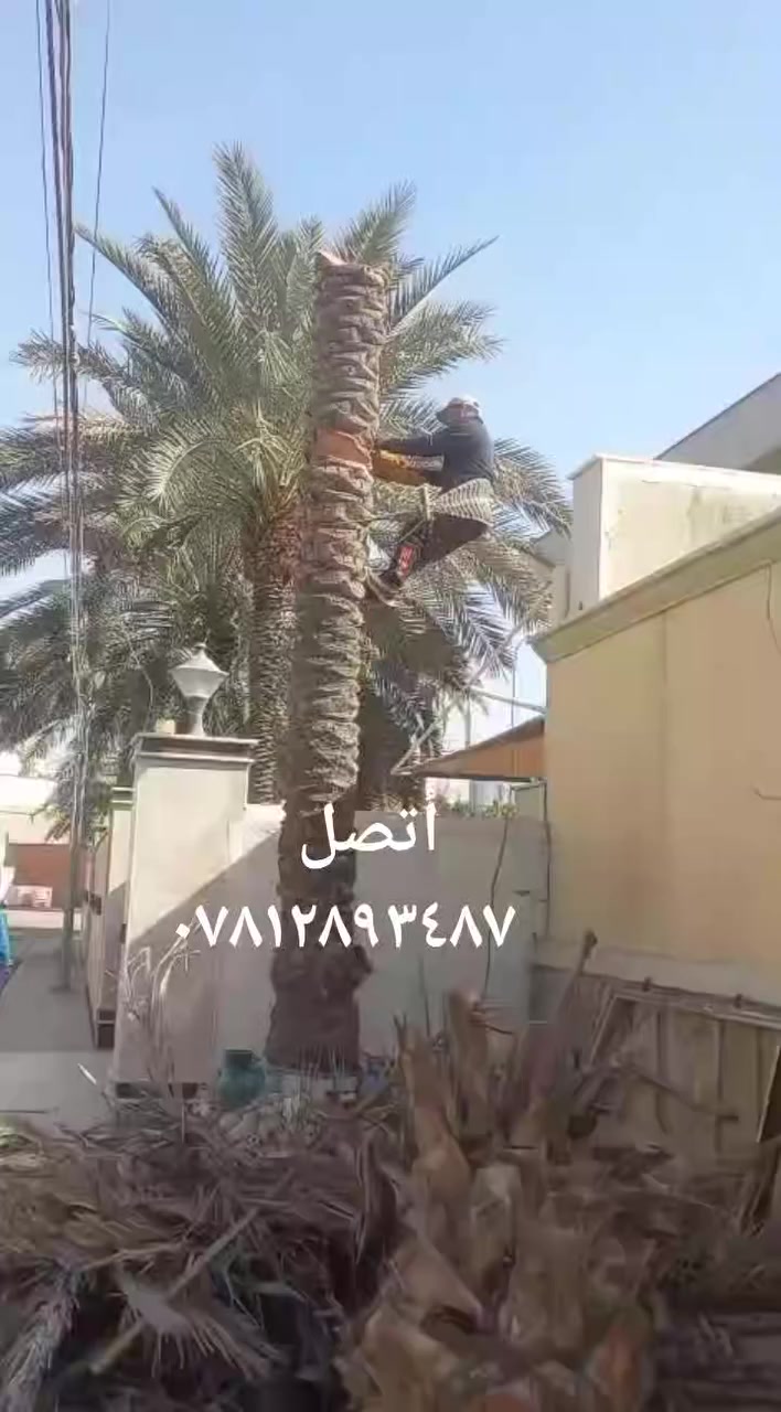 مشتل الوادي الاخضر ***********
