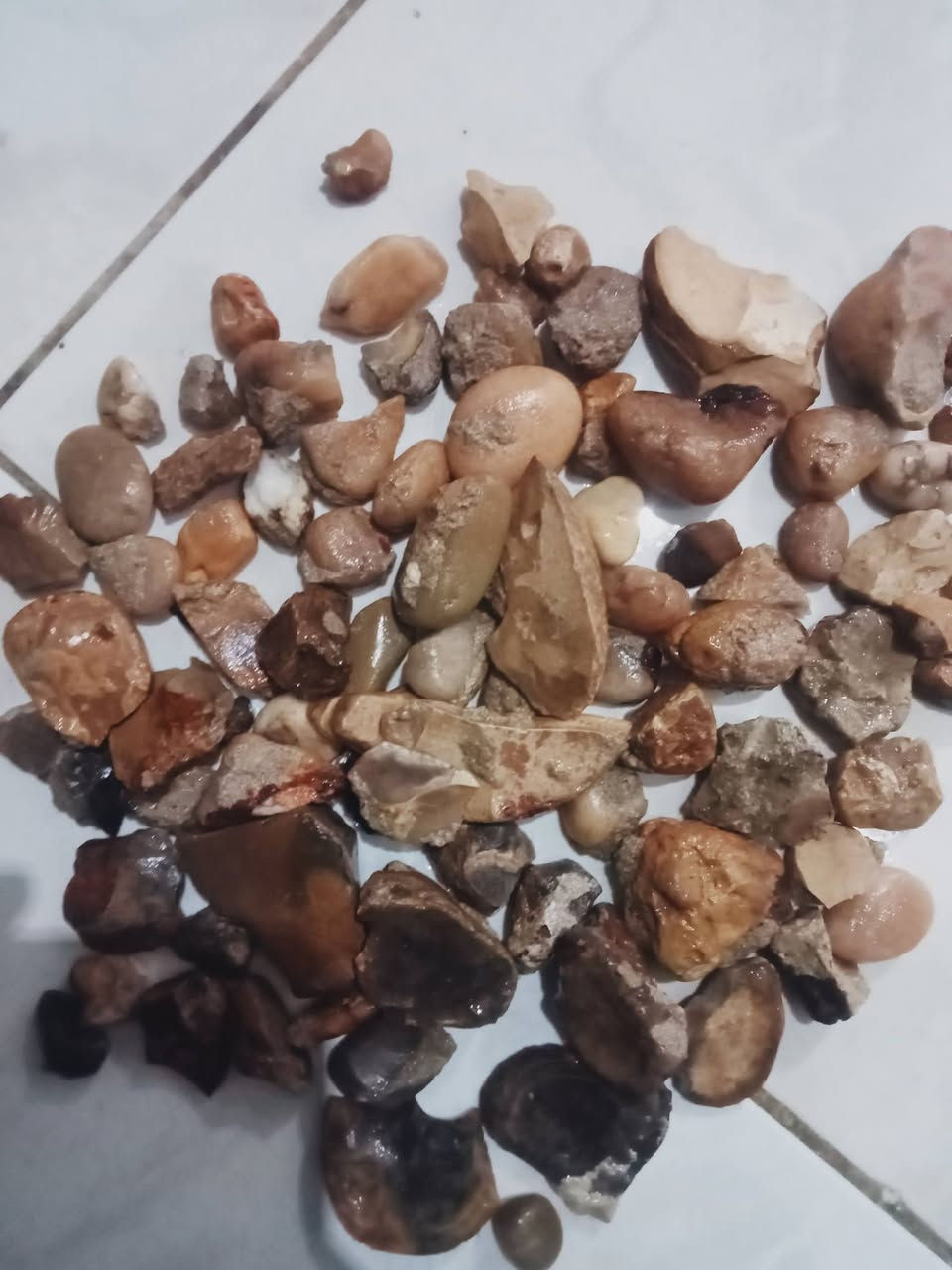 السلام عليكم بعد اذن الجروب الحاجه دي فيها حاجات نادره جدا


**إذا كنت صاحب هذا الإعلان وتريد حذفه لأي سبب، رجاءا أرسل رسالة إلى الدعم الفني**