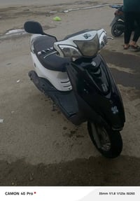 بريز ببغاء • ميكينة ناعمة • العبيدي بغداد