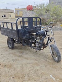 ستوته • كلك شغاله • شاصي نضيف