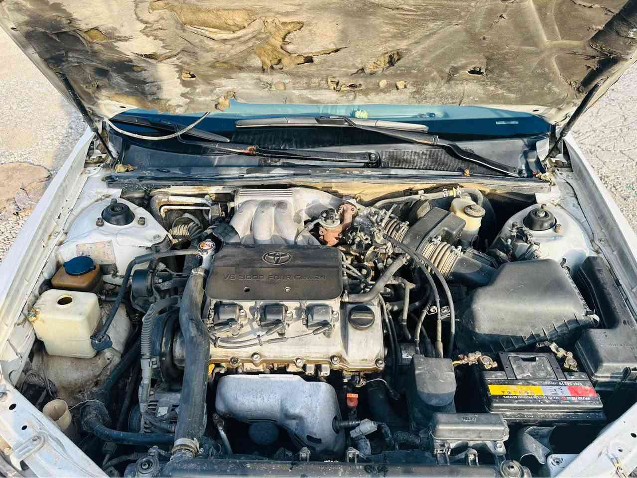 ***********

تويتا ئه ڤه لۆن ٢٠٠١ محه سه ن 
سه ياره كه دوبه يه بي ره قه مه براوه يه. هه مو شوينيكى ئيش ئه كات مه زبوته 

گيرو مه كينه ى به شه رت سه وت و سه رف و بوخارى نييه
ته بريت سارد و گه رمى به شه رت كاره بايات و هه موو گيانى مه زبوته 

سعرى ٣٦$ كه ميك مه جال له سليمانيم

(***********) السليمانية, العراق
