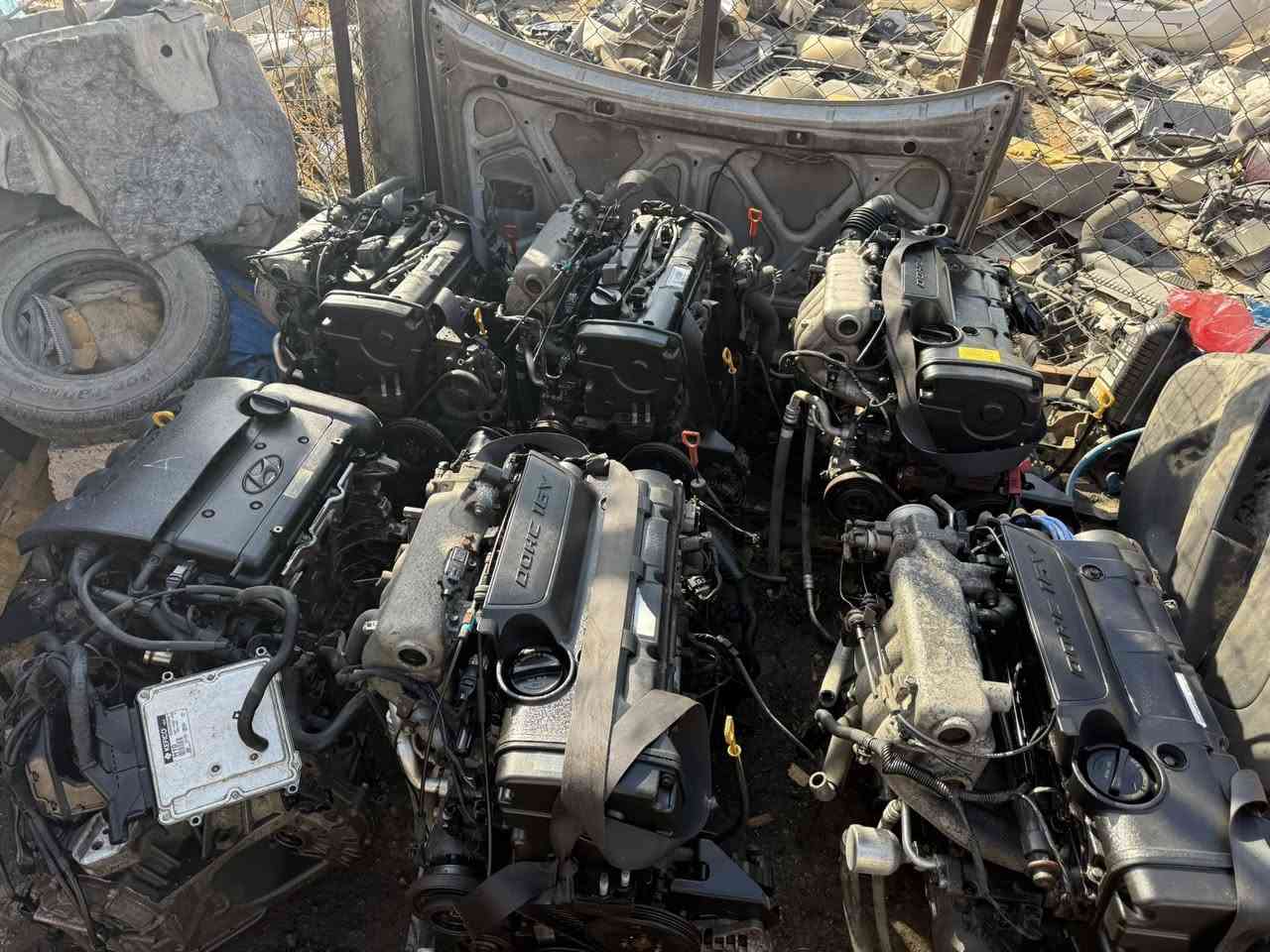 كراج الباشا الباشا القريشي للتفصيخ الكوري وصول وجبة محركات 2000 امريكي اصلي شرط بلضمان لمدة 10 ايام عرض خاص محرك (700)الف طابوكة وكير ابو جنكال (400) الف عرض نهاية الشهروالكمية محدودة 
العنوان بغداد البلديات نزلت جسر المخازن المدخل القبل تقاطع الكهرباء 
الاتصال ***********
***********
