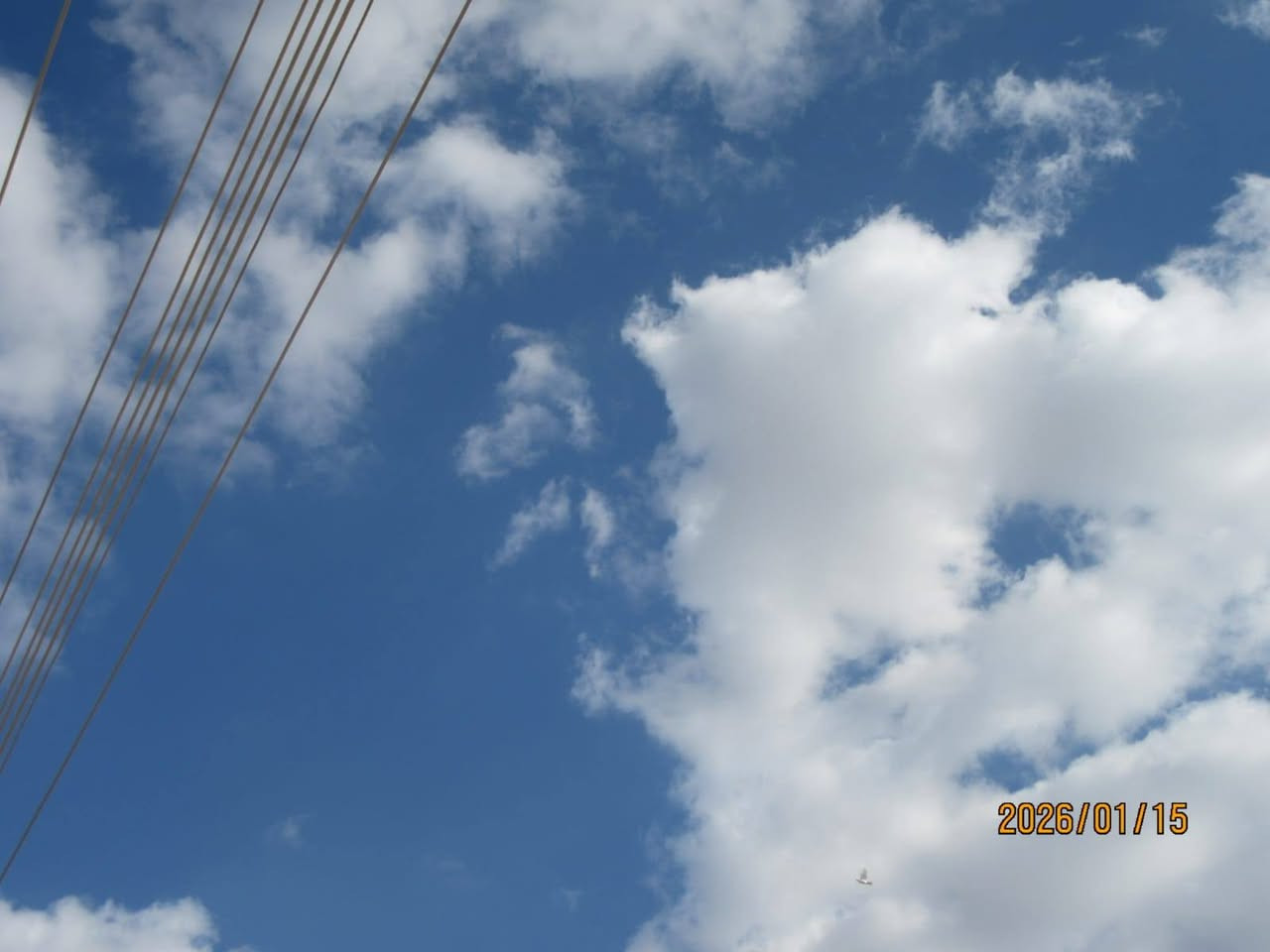 كانون d4000 للبيع نضافه ٩٥٪


**إذا كنت صاحب هذا الإعلان وتريد حذفه لأي سبب، رجاءا أرسل رسالة إلى الدعم الفني**