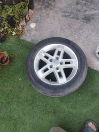 ويل وتاير • ١٦/٦٠/٢٠٥ • بغداد
