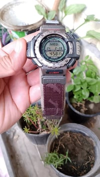 كاسيو بروتريك PRT-40 • إصدار محدود 1996 • شعار بيردلايف