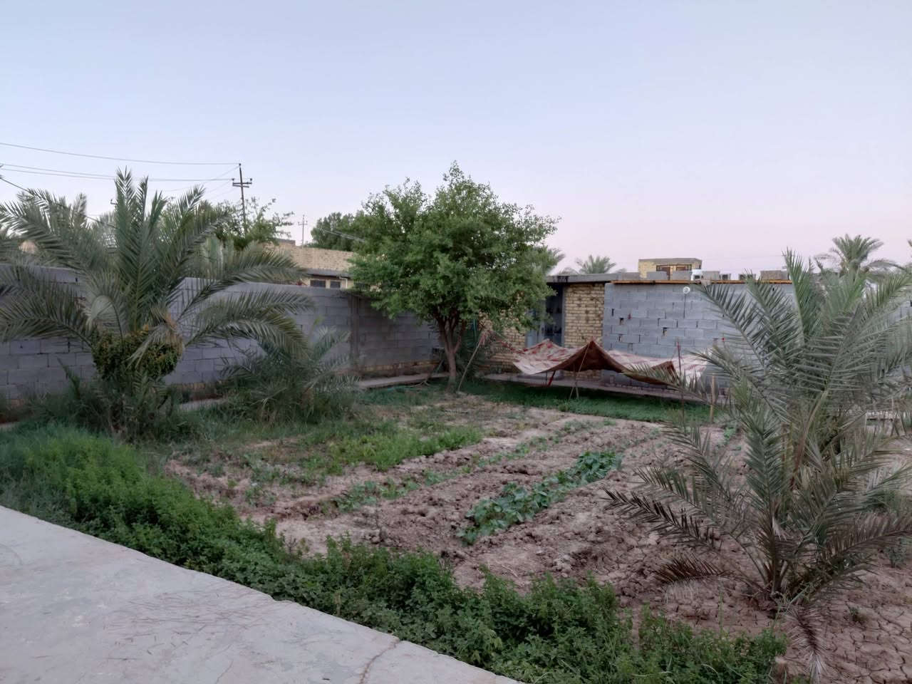 📌البيت زراعي للبيع المساحة 600متر مربع.
📌الموقع : في منطقة السابله خلف محطة ماء الغراف يبعد عن الشارع العام 100 متر .

📌يتكون البيت  من غرفتين وصحيات وحمام داخلي وخارجي وصالة ومطبخ واستقبال ومخزن خارجي .
📌السعر 130 مليون .
📌 الرقم للتواصل : 
اسيا :
***********
أثير: 
***********
