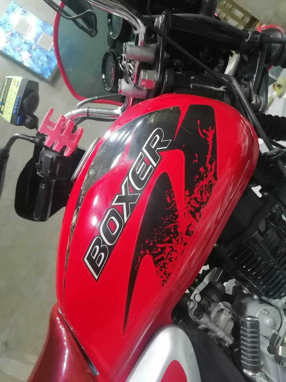 بوكسر جبلي جديد مكفول من شخط موديل 22 جديد ذي قار رفاعي سعر ١٥٠٠ ***********
