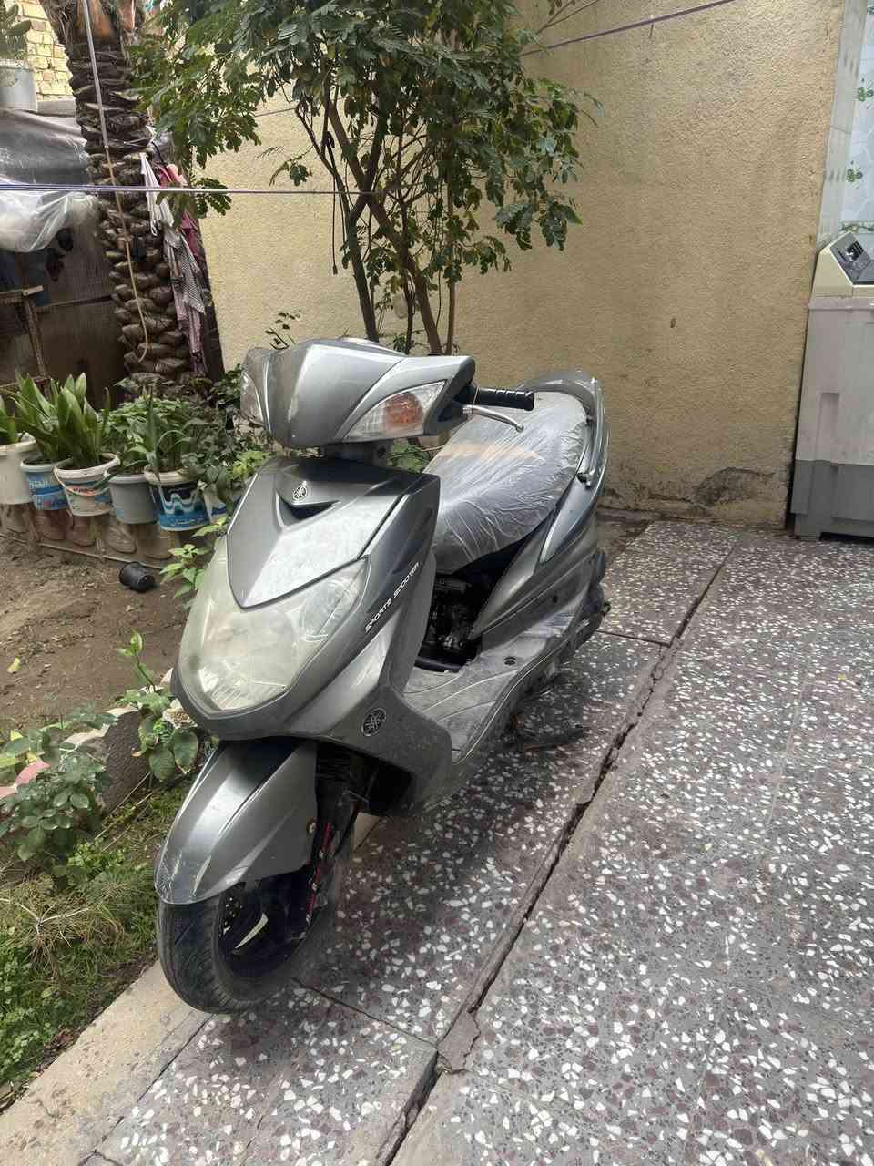 مكلف بالنشر
ماعرف سعرهن حط سعرك ونجاوبك


**إذا كنت صاحب هذا الإعلان وتريد حذفه لأي سبب، رجاءا أرسل رسالة إلى الدعم الفني**