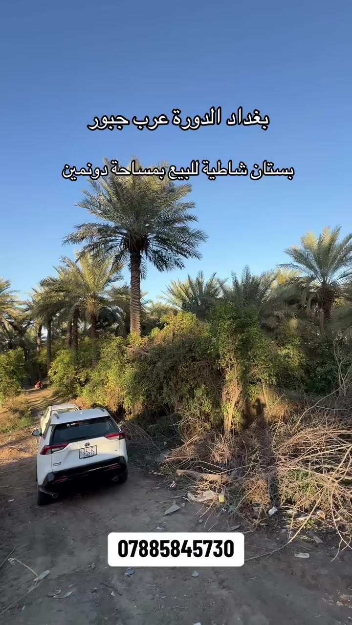 بستان شاطية للبيع 
المساحة دونمين 5000متر 
طابو زراعي سند 25 تحويل بأسم المشتري 
خدمات كاملة مي كهرباء تبليط 
الموقع: بغداد الدورة عرب جبور 
للاستفسار والتواصل: ***********
 #عقارات_بغداد #دوانم #مزارع #اكسبلور #العقاري_عيسى_الجبوري

