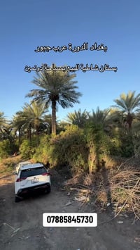 بستان شاطية • ٥٠٠٠م • الدورة عرب جبور