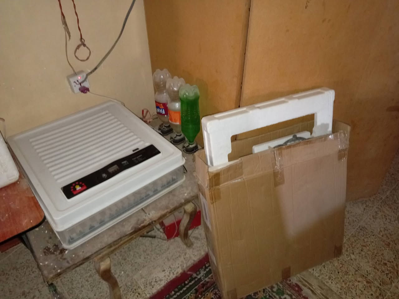 متاح فقاسه مستخدمه ٦ وجبات حتى الكارتون مالتها بعدها نظيفه قلاب اتوماتيك  تاخذ ب١٣٠ بيض دجاج  اما بيض سمان ٣٠٠ وأكثر الشراي يتفظل خاص


**إذا كنت صاحب هذا الإعلان وتريد حذفه لأي سبب، رجاءا أرسل رسالة إلى الدعم الفني**