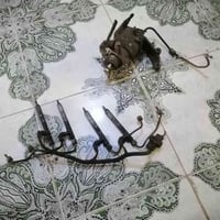 انجكترات كيا • توصيل • طرنبة انباعت