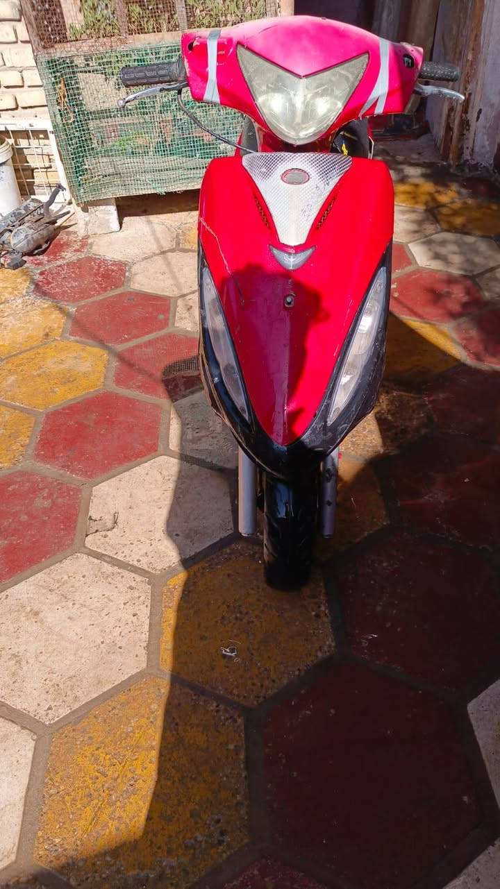 السلام عليكم درجه البيع عوسه بوشو بستم ابيعكم حديد كهرباء سلف هنا كله شغال ***********
