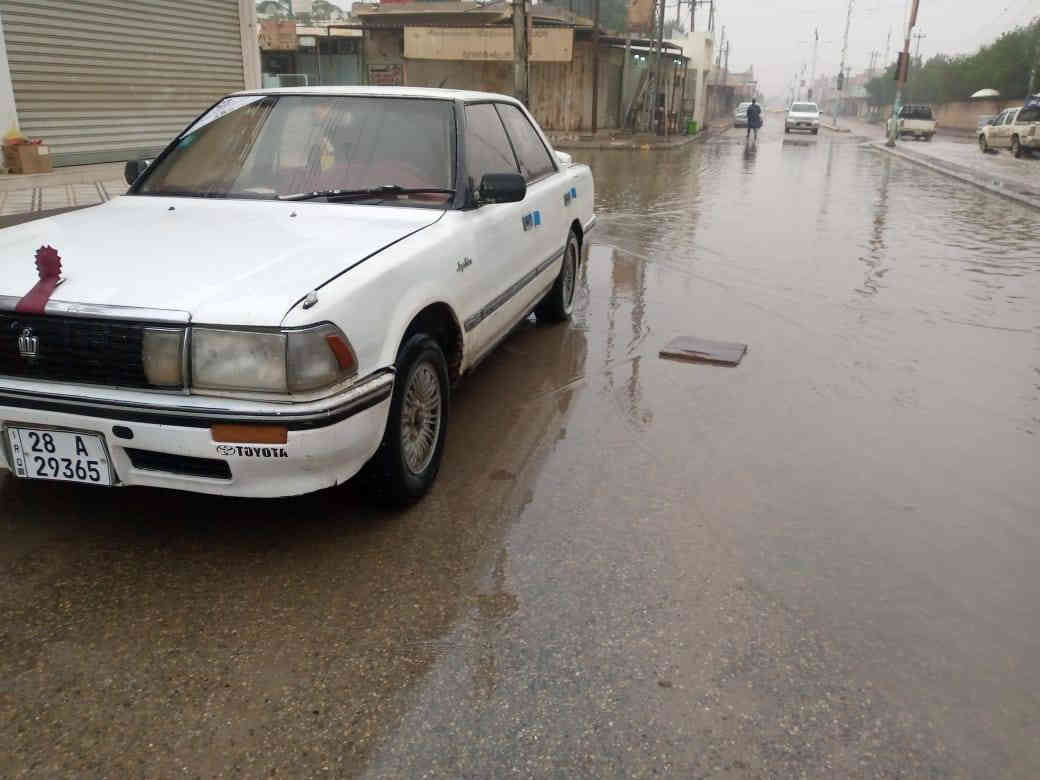 السلام عليكم للبيع هارتوب موديل 91 رقم نجف اكليزي سنويه جديده  2028 شرط تحويل ثاني يوم محرك وكير لشرط سياره مكفوله كفاله عامه من ضربه وصبق بلاد نظيفه كلش جاهزه من كل شيء السعر 33 وبيها مجال *********** مكان سماوه الخضر المركز
