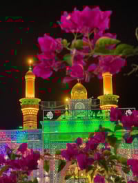 الديوانيه حي الوحدة • كرنفال رأس السنة • 31 ديسمبر