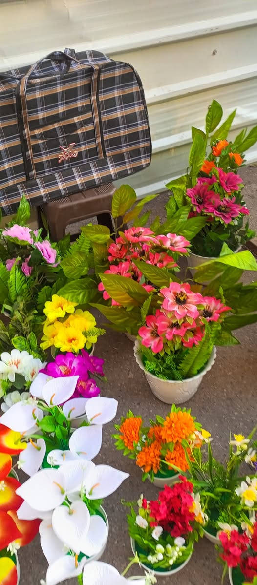 انواع الوردللبيع بعقوبه قرب مرطبات الامير ***********
