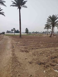 قطعه أرض مساحه 5 دونم 2 دونم طابو صرف و3 عقد زراعي مع 3 بيوت جاهزه لسك...