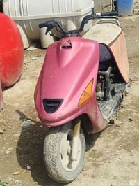 فراشة • رميثه • مكلف