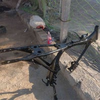 شاصي أوراق • مديل ١٧ • خمس أوراق