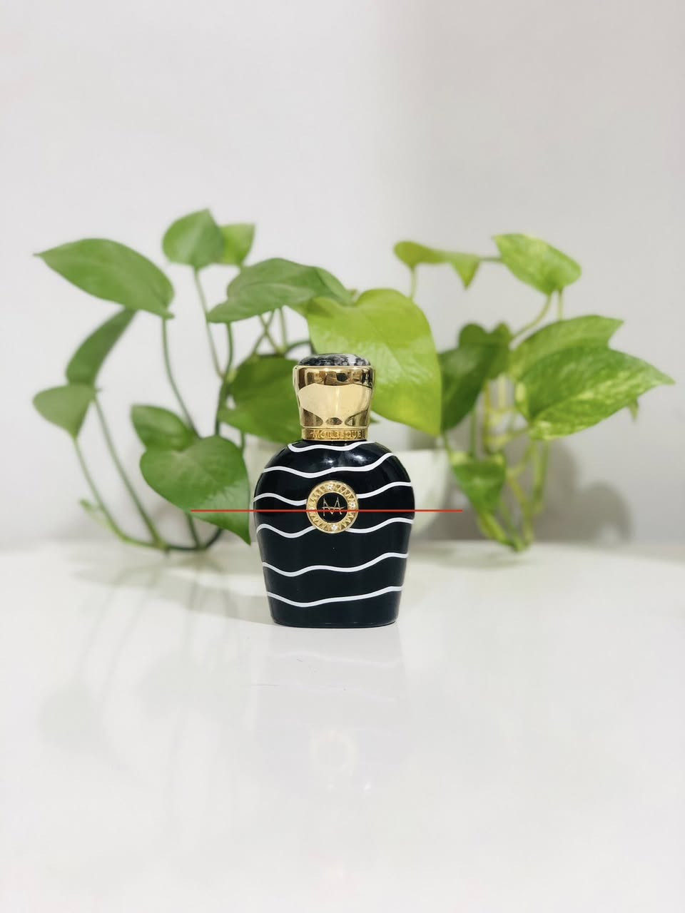 السلام عليكم ورحمة الله وبركاته

مجموعة عطور اصلية مستخدمة للبيع فقط

الاسعار وتفاصيل اسفل الصور👇

يوجد توصيل لجميع محافظات العراق


**إذا كنت صاحب هذا الإعلان وتريد حذفه لأي سبب، رجاءا أرسل رسالة إلى الدعم الفني**