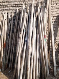 تكم • طول 3/30 • الحلة