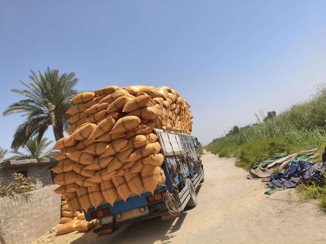 يا الله تبن عين تمر طول 90ولعرظ 70تبن درجه أولى واصل لباب البيت عنواني كربلاء عون شارع بغداد دخول كربلاء عمود 276وهاذى رقمي ***********
