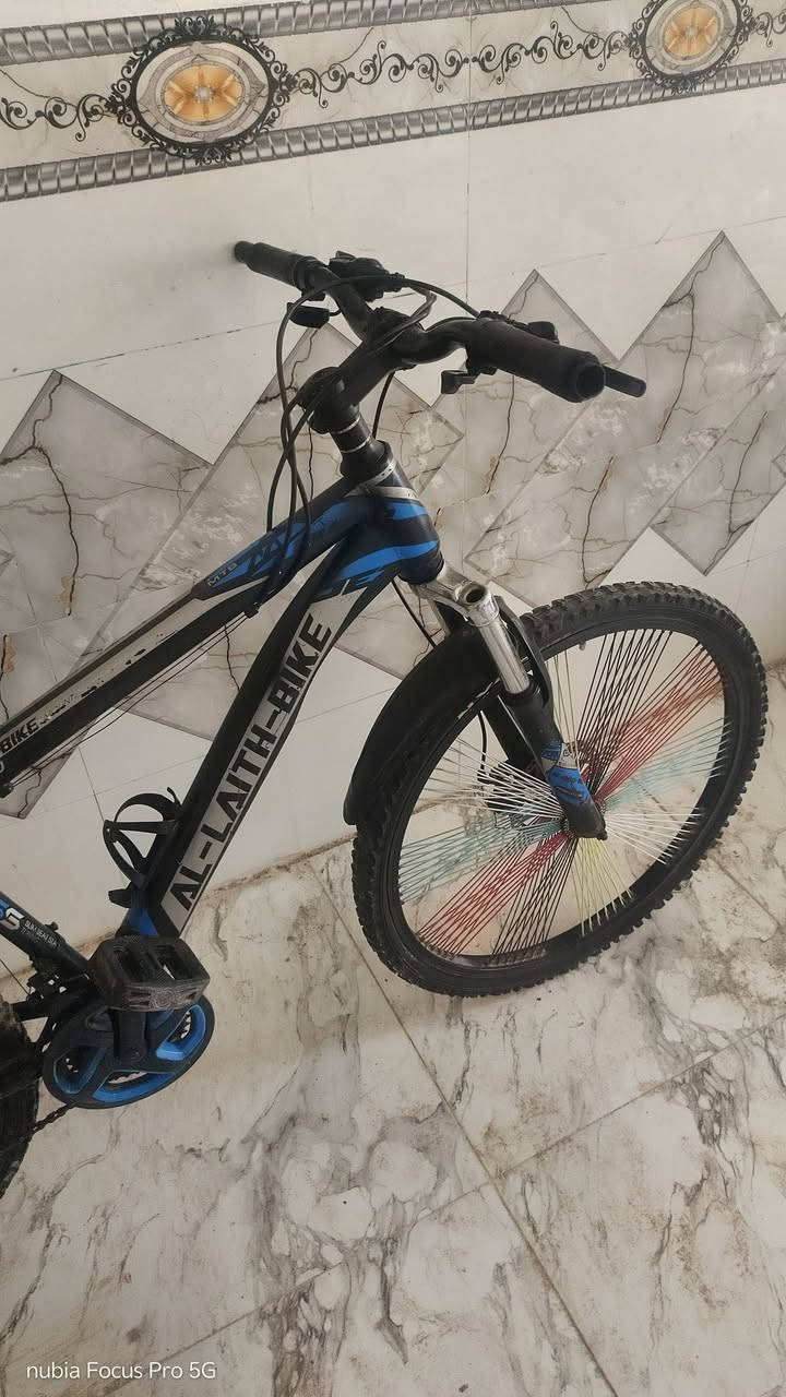 بايسكل جبلي للبيع حجم 26
سعر65


**إذا كنت صاحب هذا الإعلان وتريد حذفه لأي سبب، رجاءا أرسل رسالة إلى الدعم الفني**