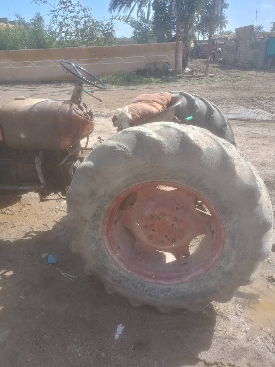 عنتر البيع 71 بيهي خيط تبخير رايده مليونين وبيهي مجال ***********    ***********
