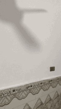 السلام عليكم 
دار زراعي مساحه 50م شارع بعرض 15م. اساس و سقف كونكريت عالي عن الشارع نضيف جداً كهرباء ماء سيراميك كامل البيت من كلشي. 
العنوان شارع المطحنه مقابيل قرية الغدير السعر 20 مليون ***********
