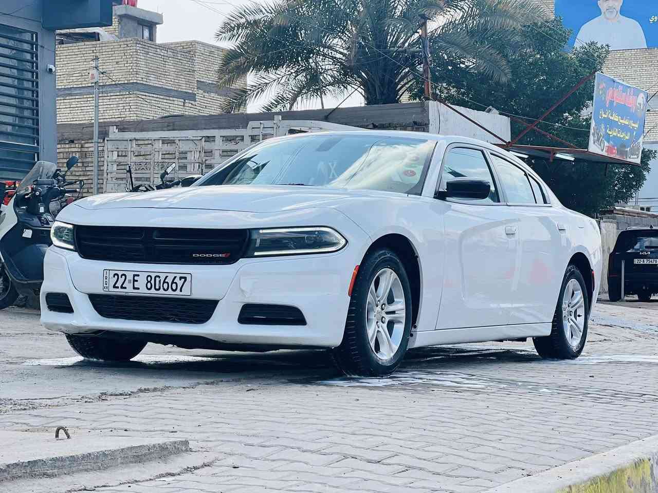 للبيع فقط بدون مرواس
 موديل 2023
سياره ماشتخله خط بحالت وكاله
سونار مرافق مع صور 

مكان بغداد بلديات 

رقم الهاتف ***********

بيع فقط
